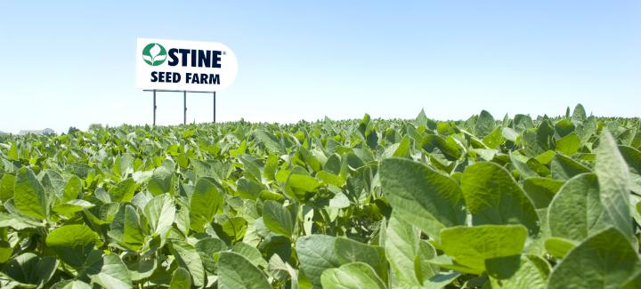 Stine Seed Company: Proud Midwest roots with an expanding national footprint