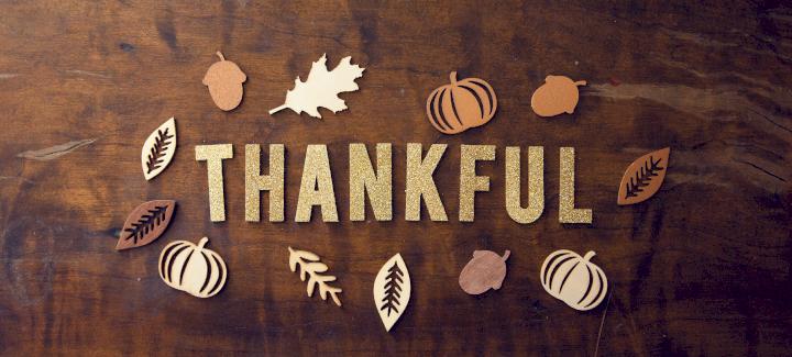 Harvesting gratitude