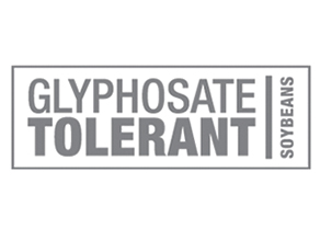 Glyphosate-Tolerant Soybeans
