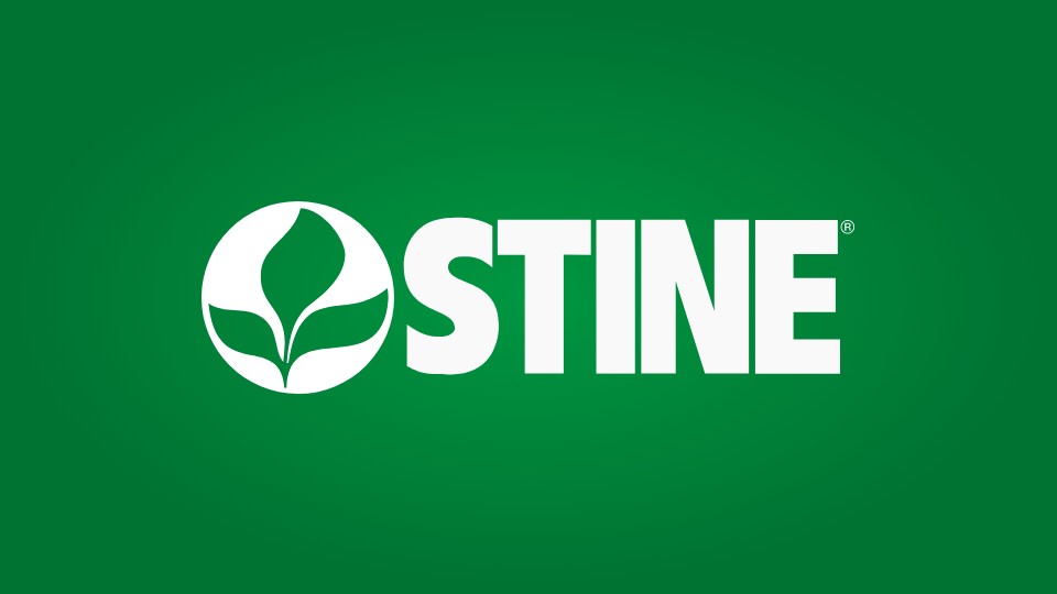 Celebrating the international women of Stine®