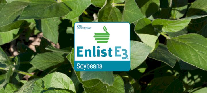 Stine Seed Company Offers Extensive Lineup of Enlist E3™ Soybeans for 2019