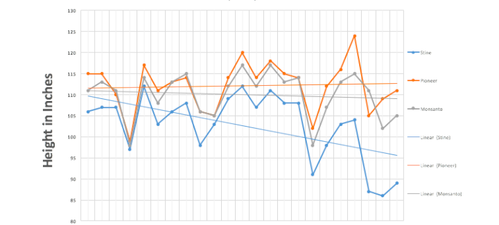 Corn Maturity Chart