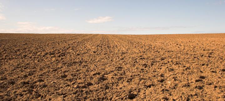 3 Tips for Fall Soil Sampling