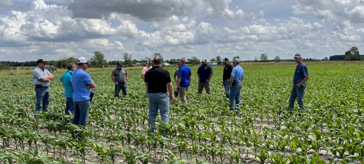 Meet our agronomy team