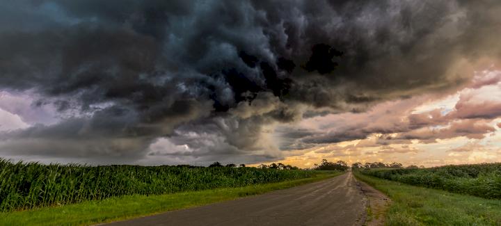 5 steps to protect your crop after a storm