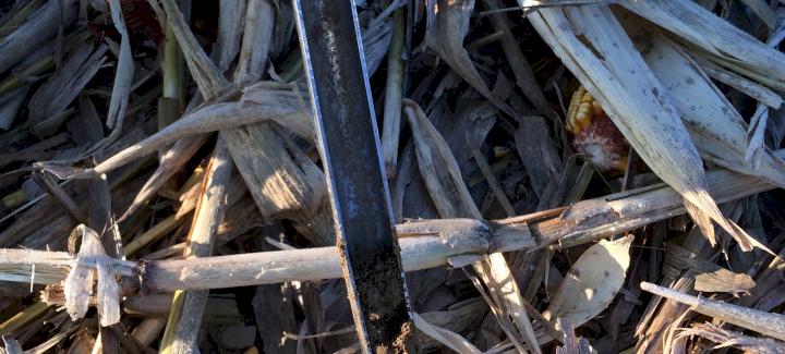 Plan ahead for post-harvest soil sampling