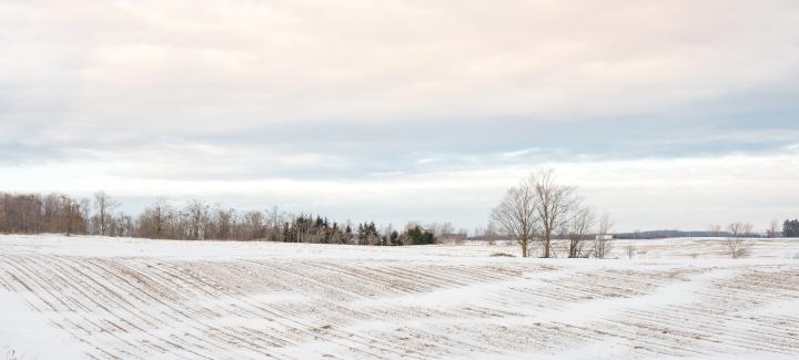 Winter weather brings much-needed moisture to parts of the Midwest