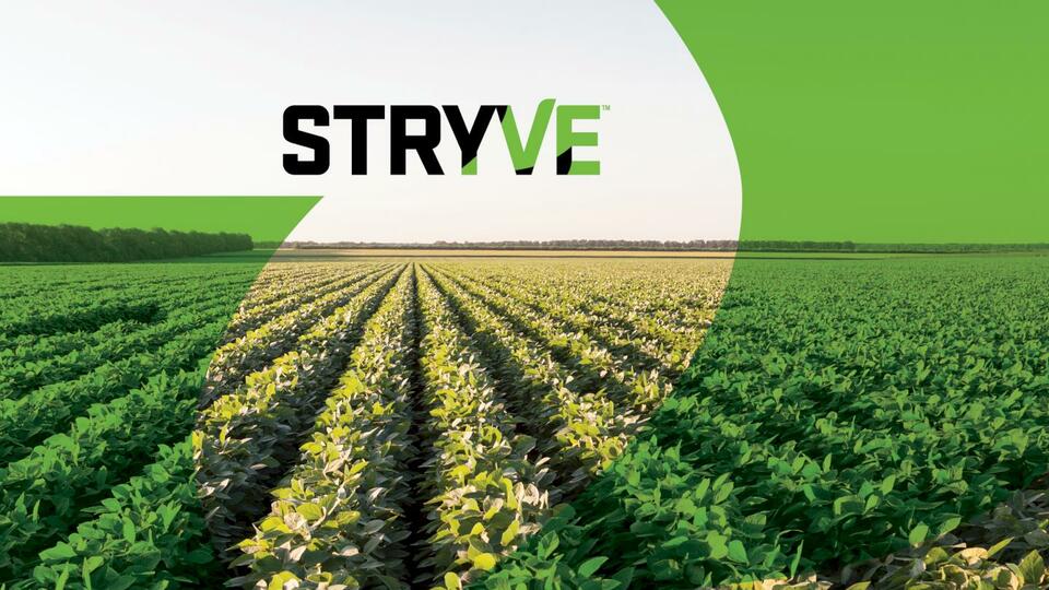 Introducing STRYVE