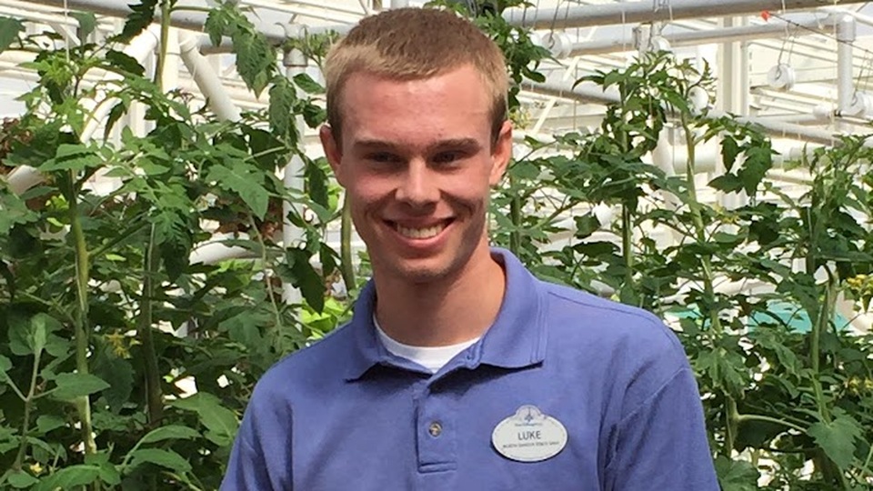 A magical path to Stine®