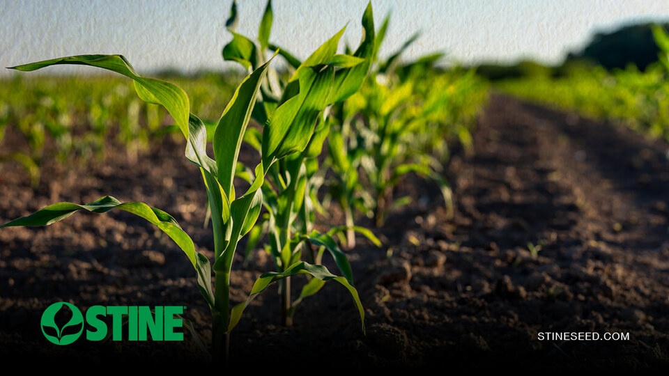 Why stand establishment deserves your full attention