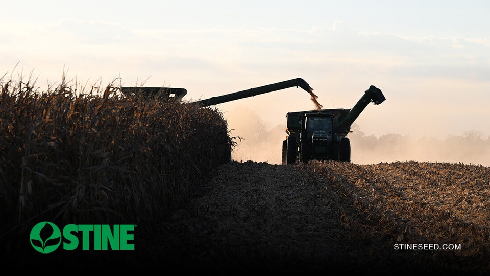 Stine harvest roundup: Part 2