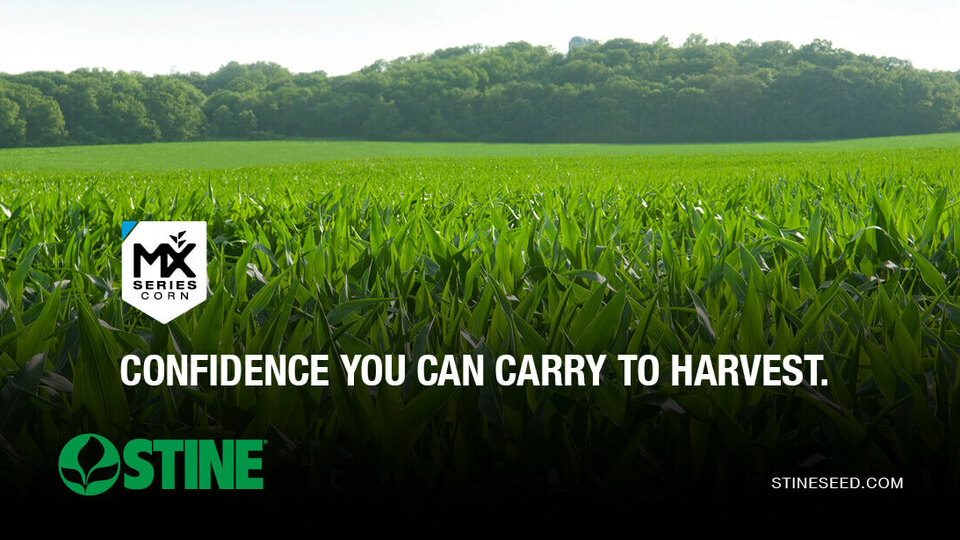 MX Series Corn by Stine®: Confidence you can carry to harvest