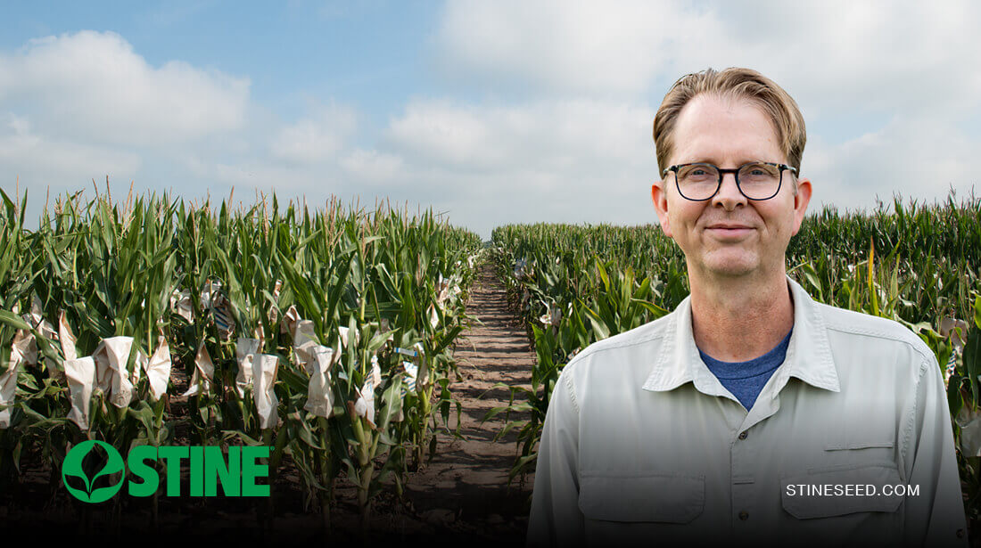 Corn production growth paves way for more high-performing Stine® hybrids