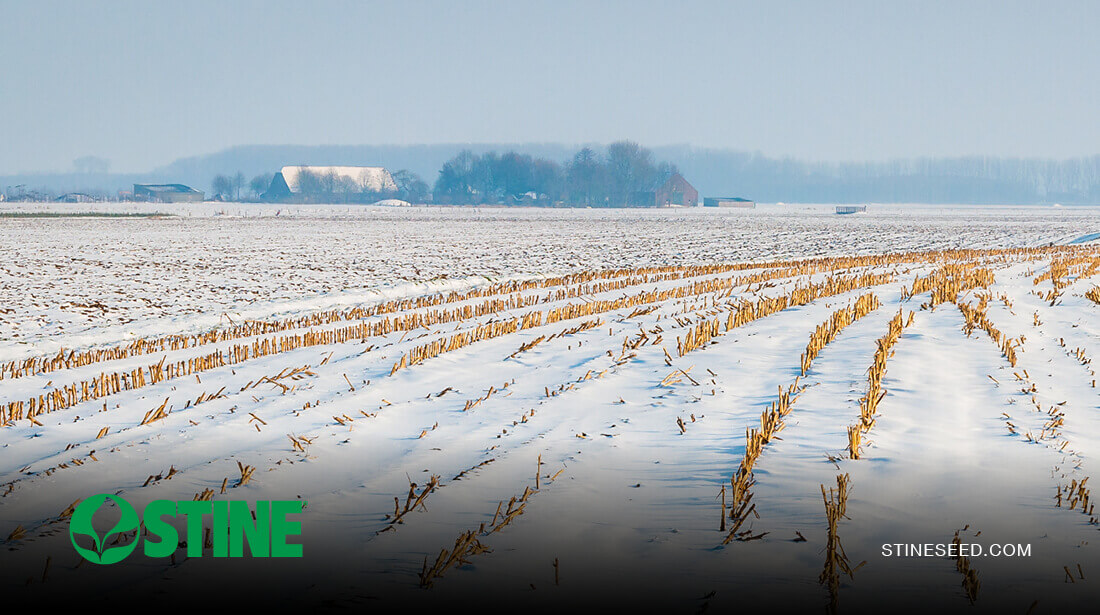 2025 reflections: Trust, growth and shared success