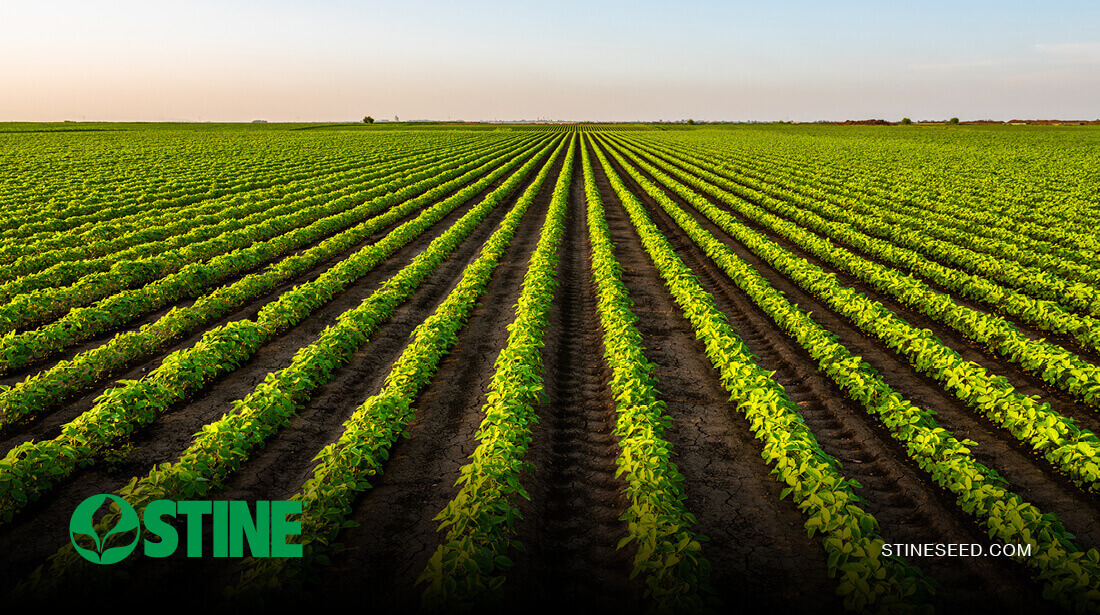 Weed control in a volatile year: Management options, timing and caution