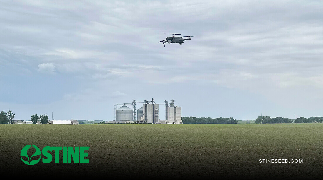 Using drone technology to support replant decisions