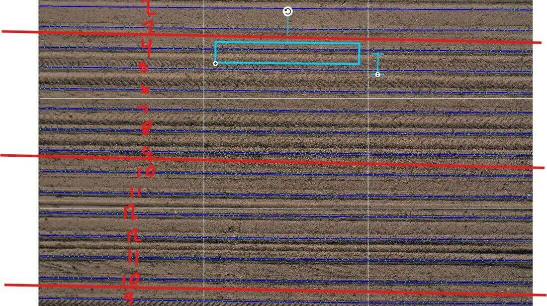 Using drone technology to support replant decisions