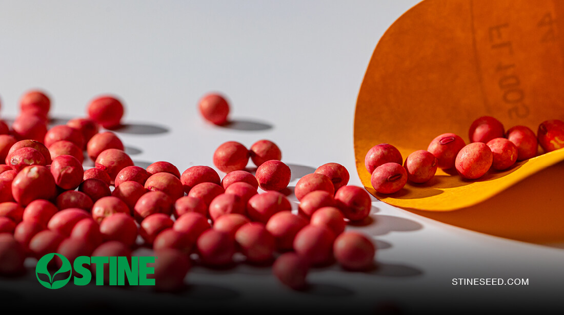 Beyond the bag: StineĀ® XP seed enhancements available for 2027