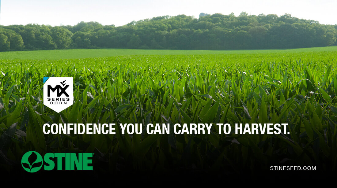 MX Series Corn by Stine®: Confidence you can carry to harvest
