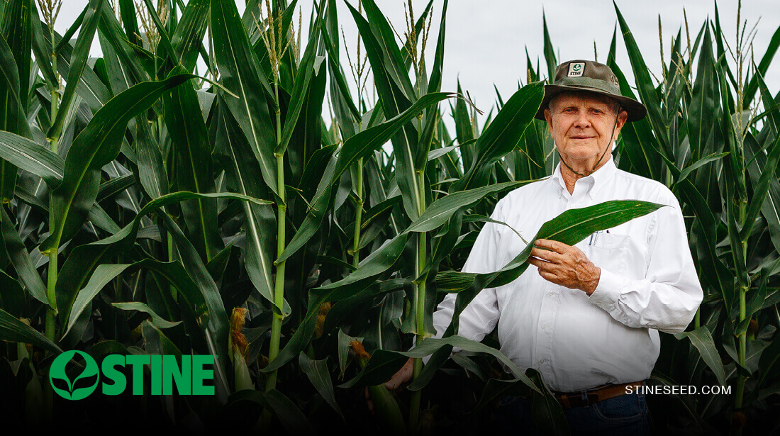 Rooted in innovation: The story of Stine® Seed Company founder Harry Stine