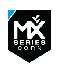 MX Series Corn