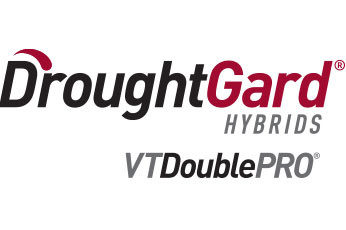 VT Double Pro® DroughtGard® Hybrids