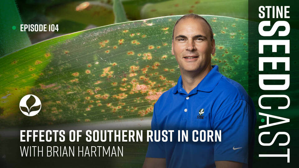 Episode 104: Effects of Southern Rust in Corn with Brian Hartman
